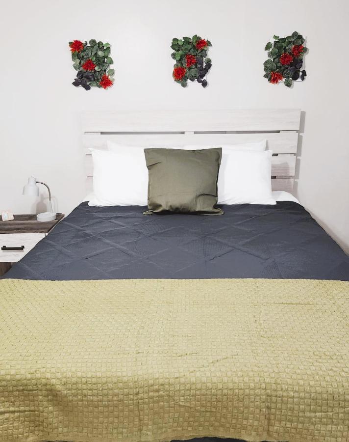 Adorable Mini Suite In טאמפה מראה חיצוני תמונה