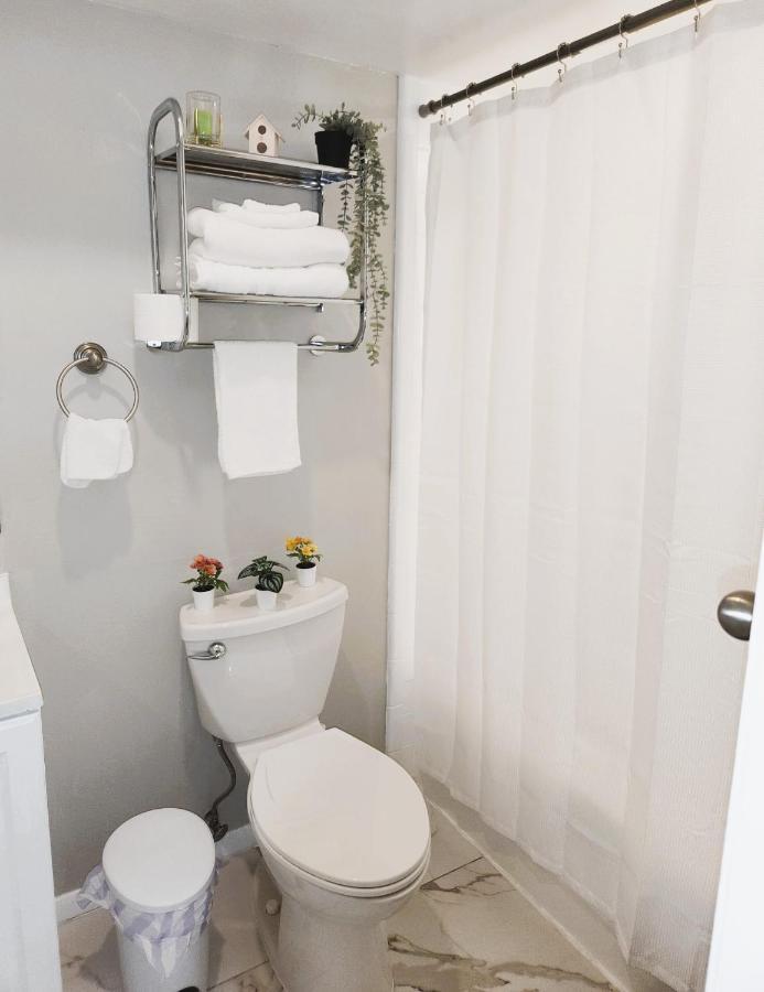 Adorable Mini Suite In טאמפה מראה חיצוני תמונה