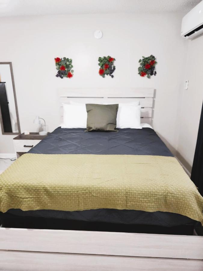 Adorable Mini Suite In טאמפה מראה חיצוני תמונה