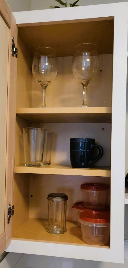 Adorable Mini Suite In טאמפה מראה חיצוני תמונה