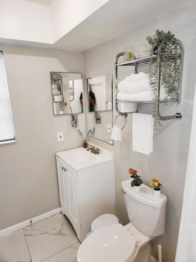 Adorable Mini Suite In טאמפה מראה חיצוני תמונה